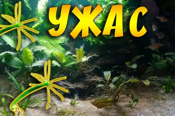 Аналог hydra