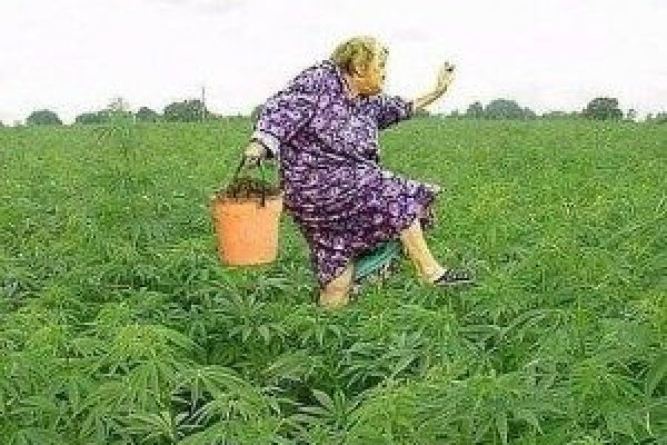 Действующие ссылки на кракен