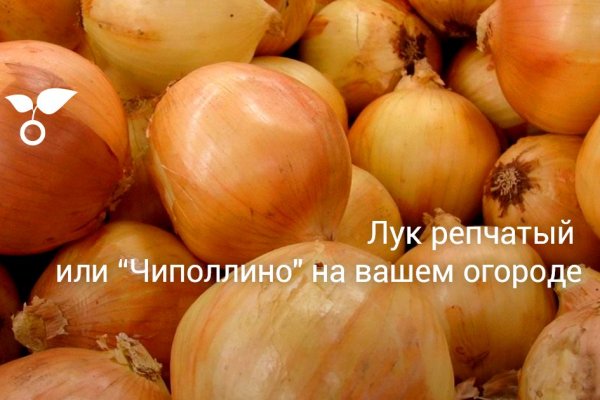 Кракен зеркало рабочее на сегодня krakenat2krnkrnk com