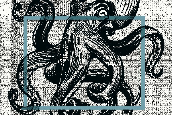 Kraken darknet sliv php