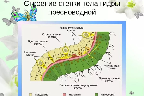 Ссылка кракен официальная тор