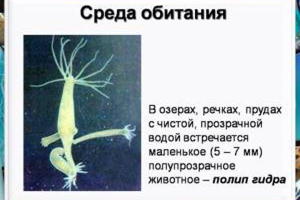 Кракен дарксайд