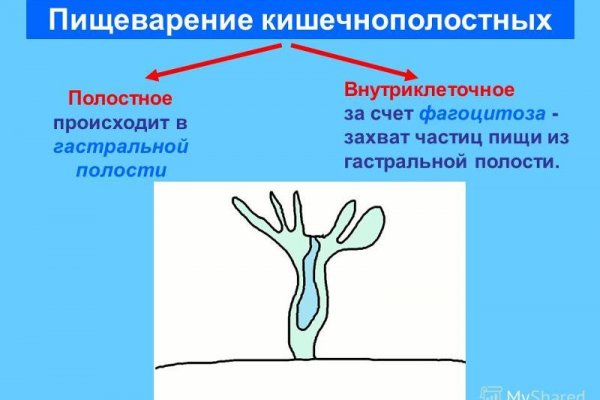Как зайти на кракен через браузер