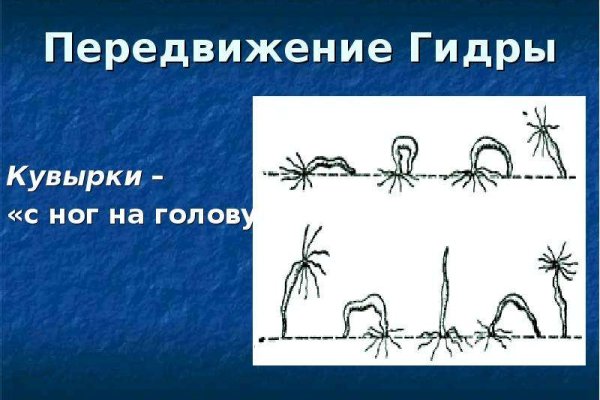 Кракен маркетплейс реклама текст