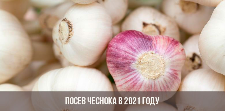 Кракен площадка торговая kr2web in